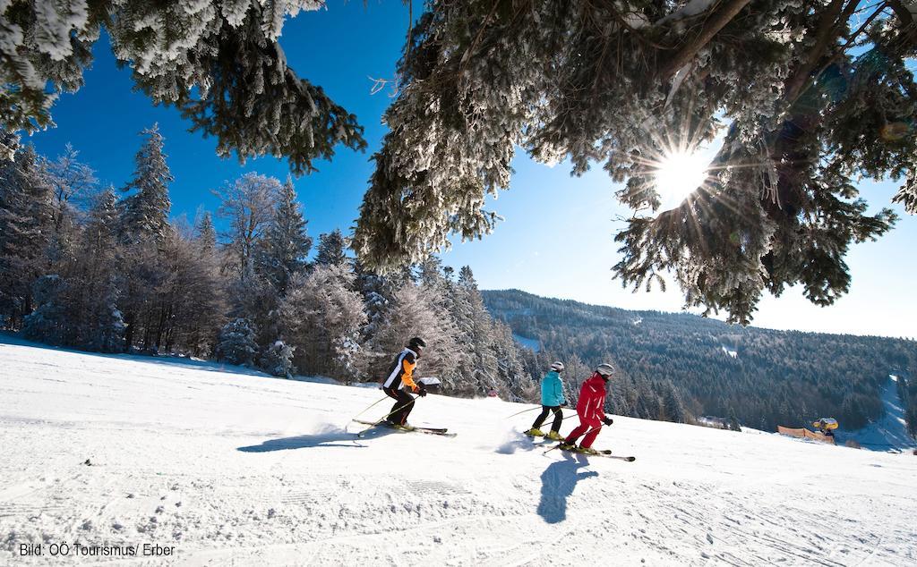 Chalet Grobauer *