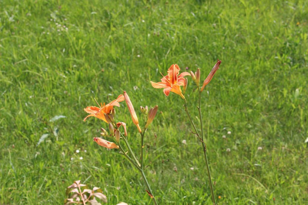 Chalet Grobauer